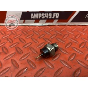 Sonde de température d'eau 