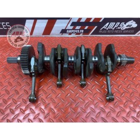 Vilebrequin avec bielles 