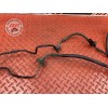 Kit de durite frein Honda CBF 600 S 2004 à 2007