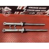 Paire de tube de fourche Honda CBF 600 S 2004 à 2007