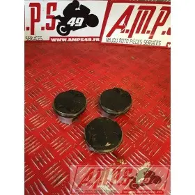 Piston Street triple 06 07 08