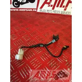 Connexion sonde Street triple 06 07 08