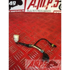 Connexion sonde Street triple 06 07 08