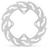 BRAKE DISC FLAME REAR