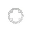 BRAKE DISC FLAME REAR