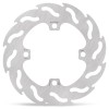 BRAKE DISC FLAME REAR
