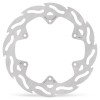 BRAKE DISC FLAME REAR