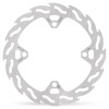 BRAKE DISC FLAME REAR