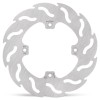 BRAKE DISC FLAME REAR