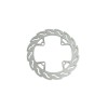 BRAKE DISC FLAME REAR