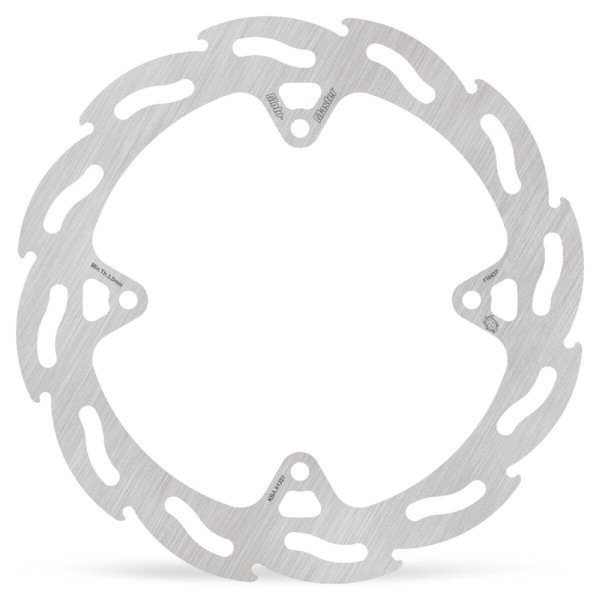 BRAKE DISC FLAME REAR
