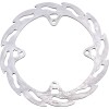 BRAKE DISC FLAME REAR
