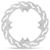 BRAKE DISC FLAME REAR
