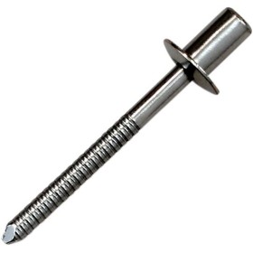 RIVET SS D4 8x8 CLEAR