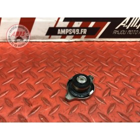Bouchon de radiateur Bmw K1200 GT 2002 à 2005