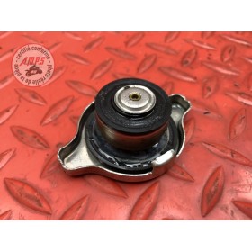 Bouchon de radiateur 