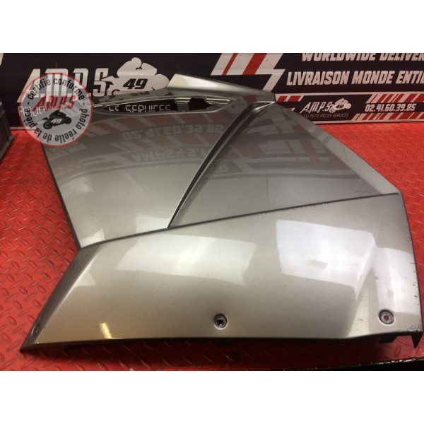 Flanc de carénage gauche 