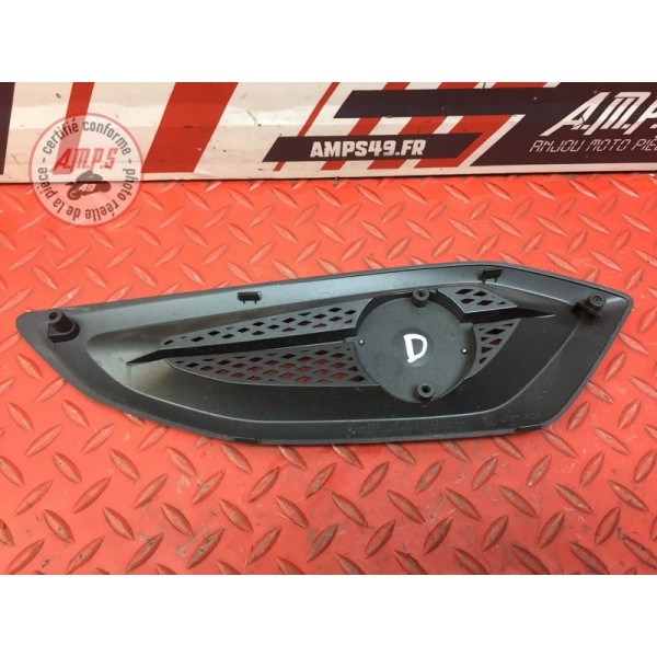 Grille sur flanc de carénage droit 