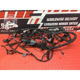 Faisceau électrique principale 