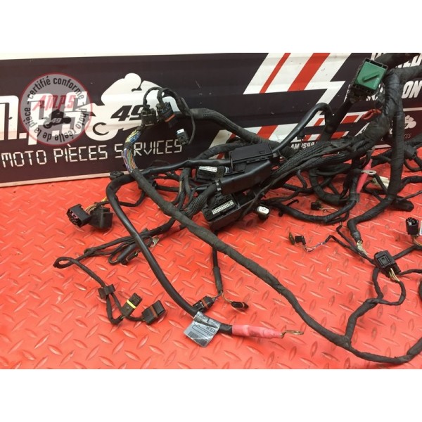 Faisceau électrique principale Bmw K1300 GT 2009 à 2010 K44