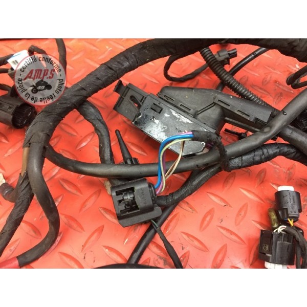 Faisceau électrique principale Bmw K1300 GT 2009 à 2010 K44