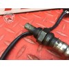 Sonde lambda Bmw K1300 GT 2009 à 2010 K44