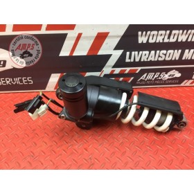 Amortisseur arrière 