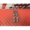Vis de boucle arriere Bmw K1300 GT 2009 à 2010 K44
