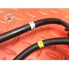 Bobine d'allumage 1&4 Yamaha FJR 1300 2001 à 2005 5VS