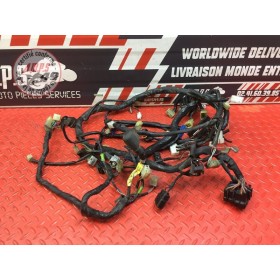 Faisceau électrique principale 