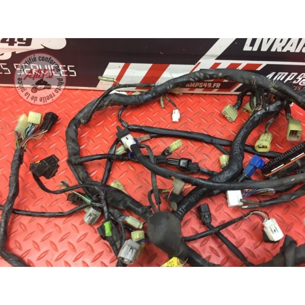 Faisceau électrique principale Yamaha FJR 1300 2001 à 2005 5VS