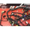 Faisceau électrique principale Yamaha FJR 1300 2001 à 2005 5VS