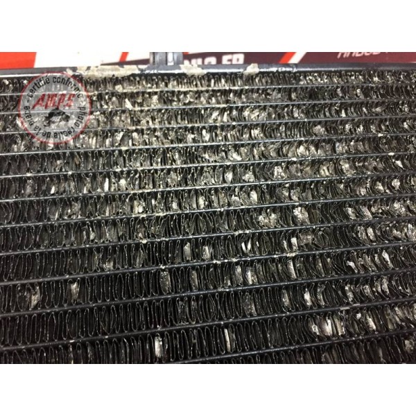 Radiateur d'eau Yamaha FJR 1300 2001 à 2005 5VS