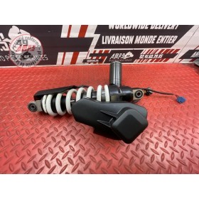 Amortisseur arrière 