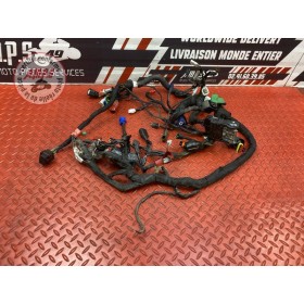 Faisceau électrique principale 