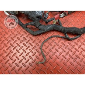 Faisceau électrique principale 