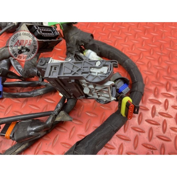 Faisceau électrique principale Ktm 125 Duke 2017 à 2022
