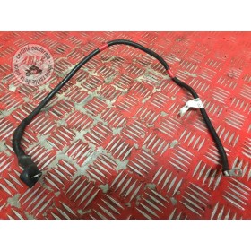 Cable de masse Ducati 1200 Monster S 2014 à 2016