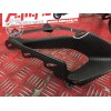 Entourage carbone optiqueGSXR100018FB-662-CBH6-A0838165used