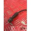 Contacteur de frein GPZ 86 - 05