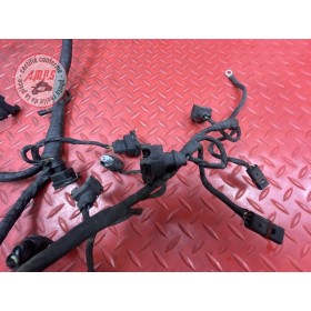 Faisceau électrique moteur 