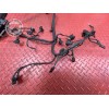 Faisceau électrique moteur BMW K1200 S 2005 à 2008