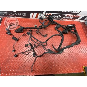 Faisceau électrique principale 