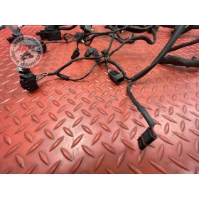 Faisceau électrique principale 