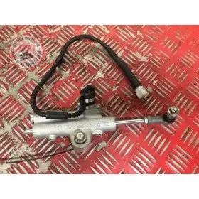 Amortisseur de directionR121GB-374-EZB8-D3841119used