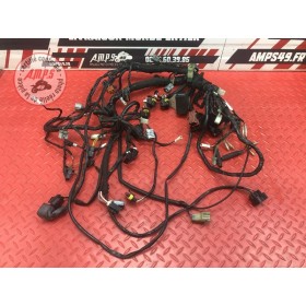 Faisceau électrique principale 