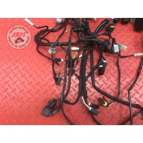 Faisceau électrique principale 