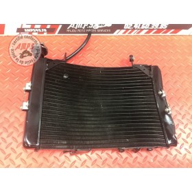 Radiateur d'eau MV-Agusta 675 Brutale 2012 à 2016