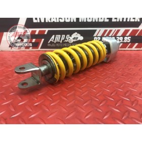 Amortisseur arrière 