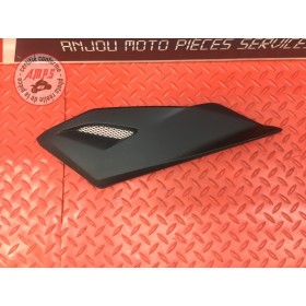 Cache sous reservoir gauche